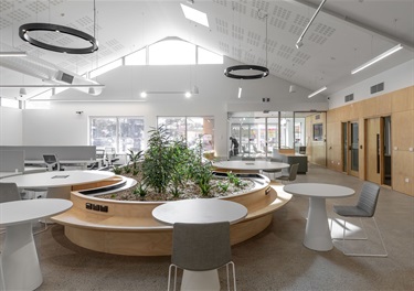 Individual-desks-chairs-and-plant-life-in-Fairfield-City-HQ.jpg