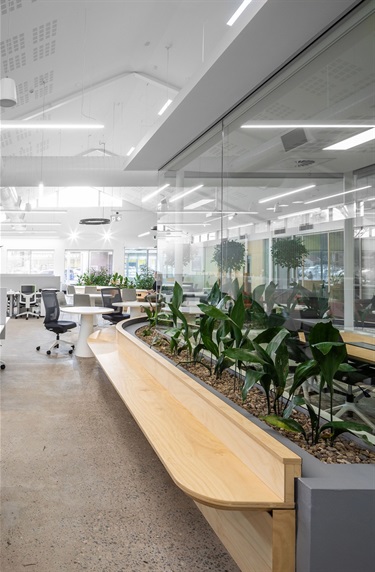 Plant-feature-alongside-meeting-rooms-in-Fairfield-City-HQ.jpg