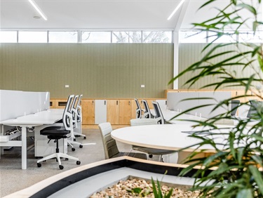 Rows-of-hot-desks-and-plant-life-in-Fairfield-City-HQ.jpg